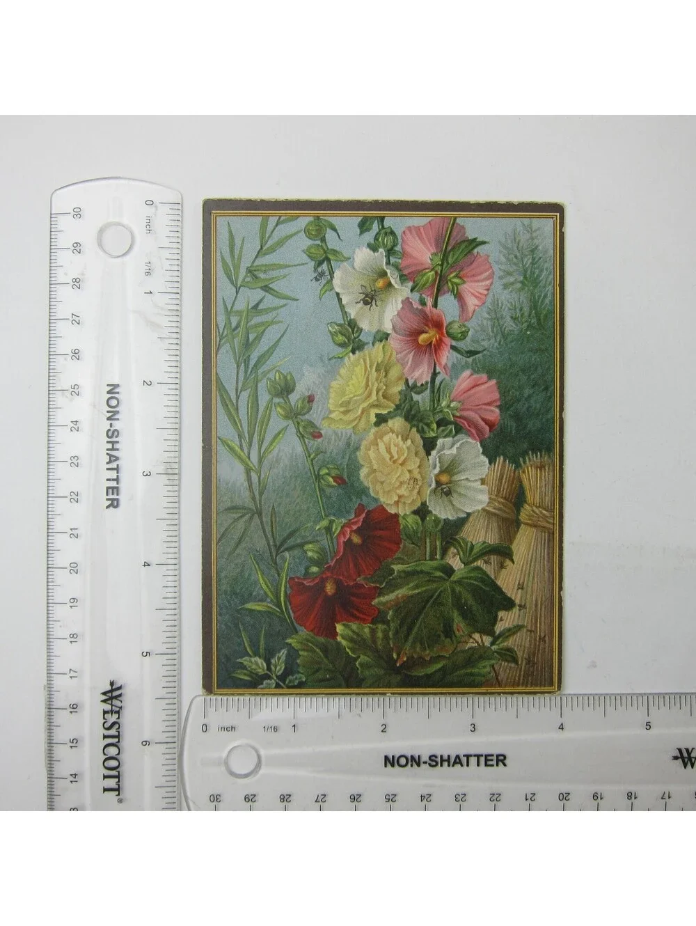 Victorian Greeting Card Flowers Red Pink White Hollyhocks Bee Dragonfly Antique